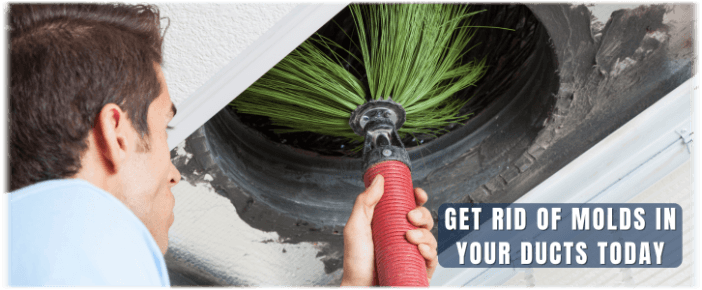 Air Duct Mold Removal in Alpharetta