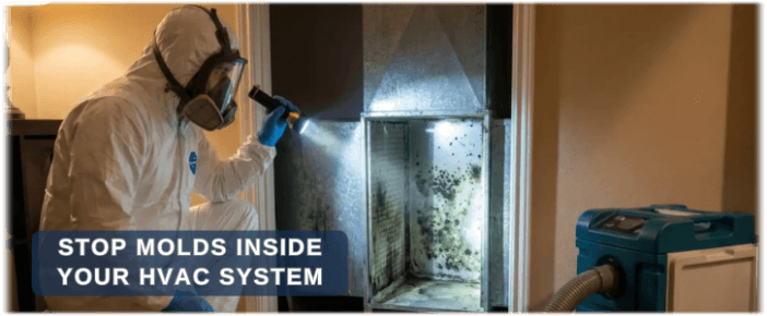 HVAC Mold Removal Alpharetta